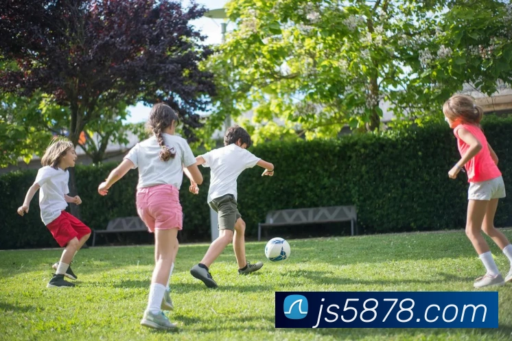 多媒体互动体验